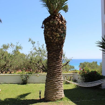 Panorama Studios & Apartments Амуди Екстериор снимка